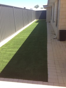 artificial lawn Tanya Baldivis