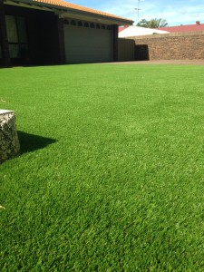 Mr Mrs Alexander, Leybourne Drive, Halls Head in Mandurah, WA Prestige 38mm Artificial Lawn and synthetic grass