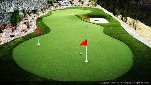 Putting green with fringe